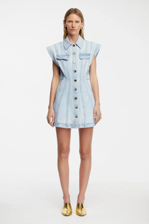 Eagleton Mini Dress