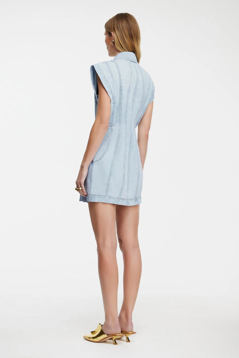 Eagleton Mini Dress