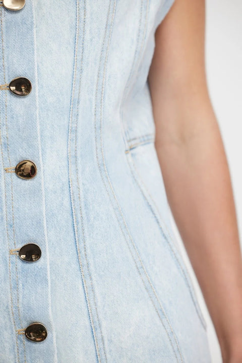 Eagleton Mini Dress