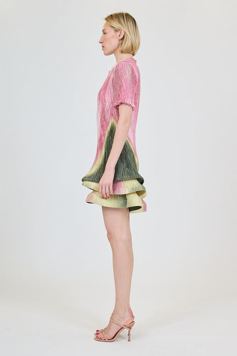 Zenon Mini Dress