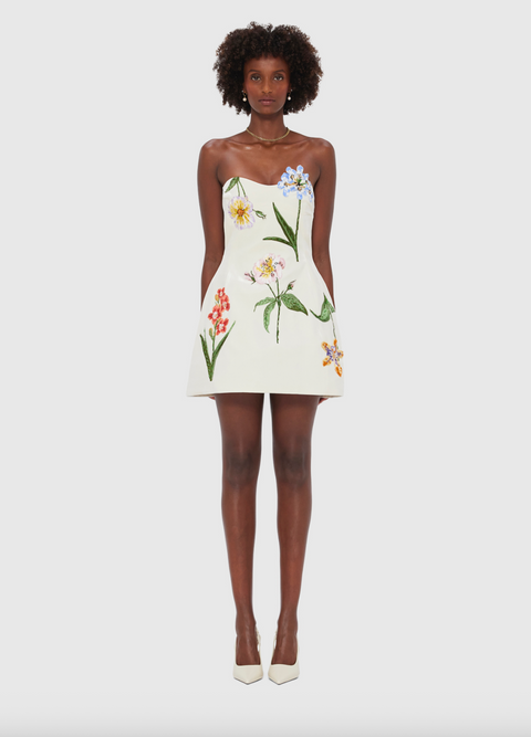 Rosario Velvet Mini Dress