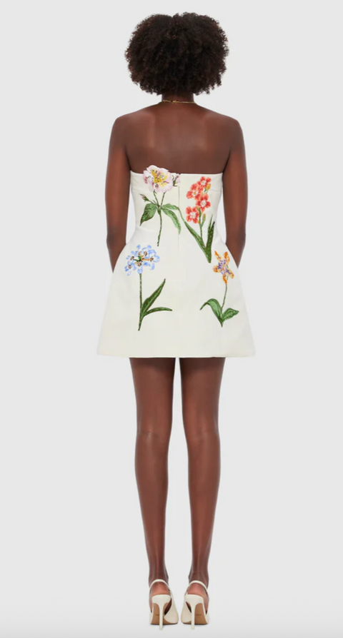 Rosario Velvet Mini Dress