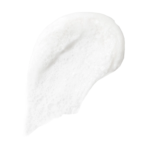 The Foaming Cleanser